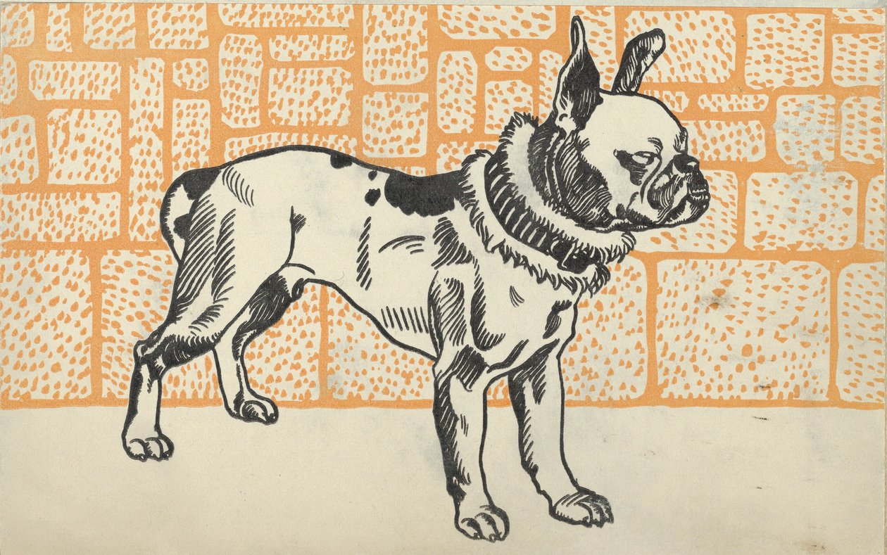 Pitbull Terrier, 1912 de Moritz Jung