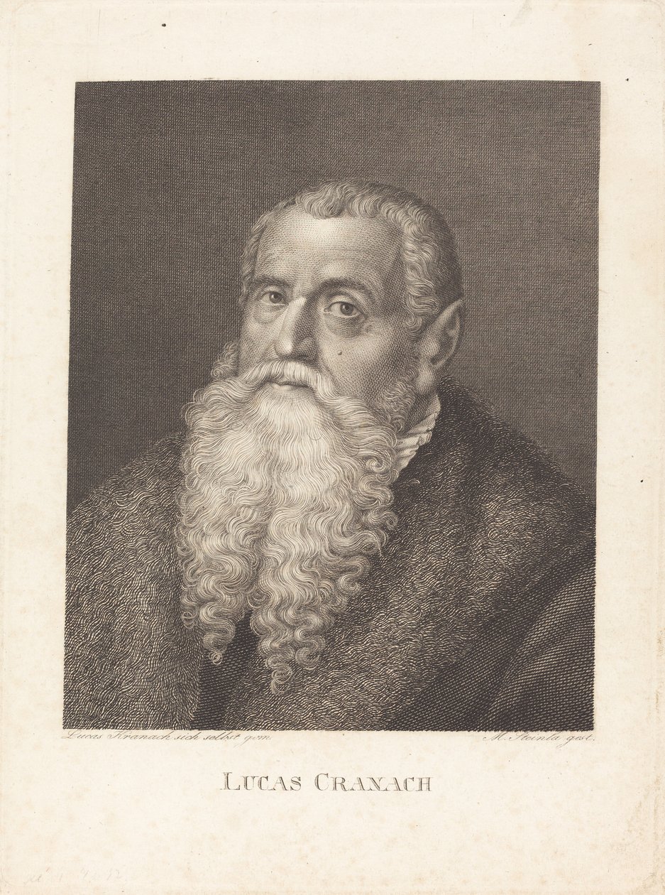 Lucas Cranach de Moritz Steinla