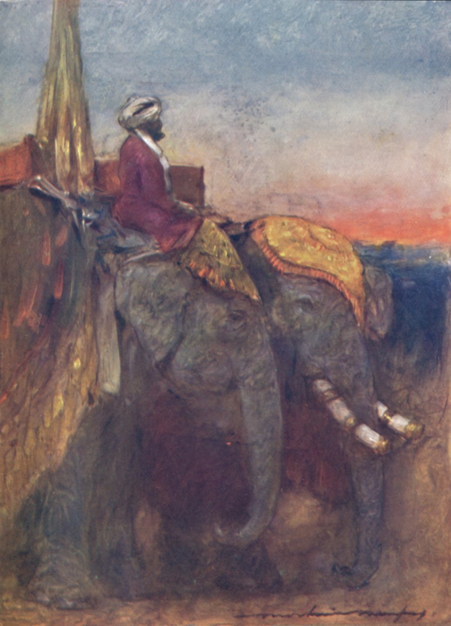 Elefantes de Jaipur de Mortimer L Menpes