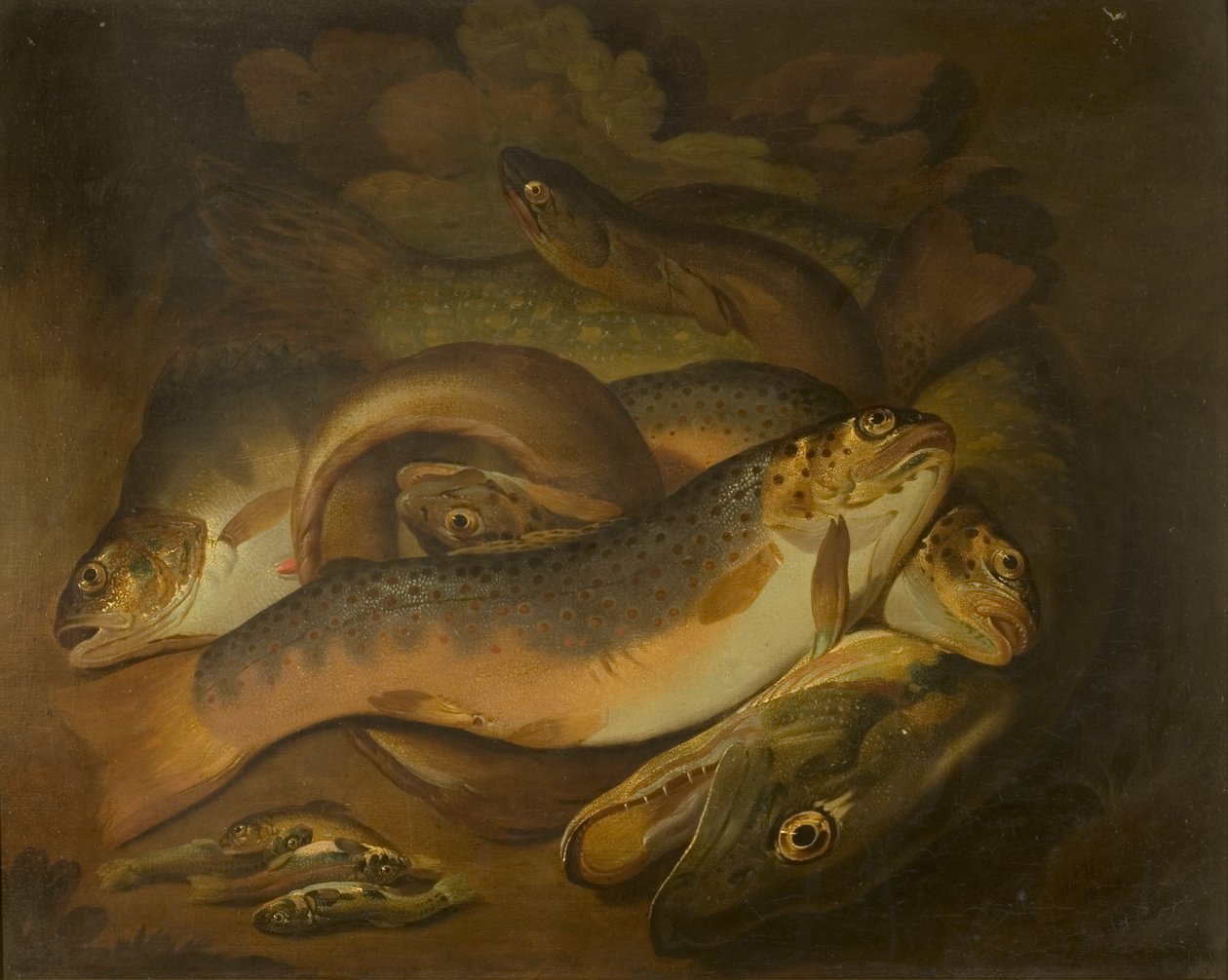 Peces de Moses Haughton