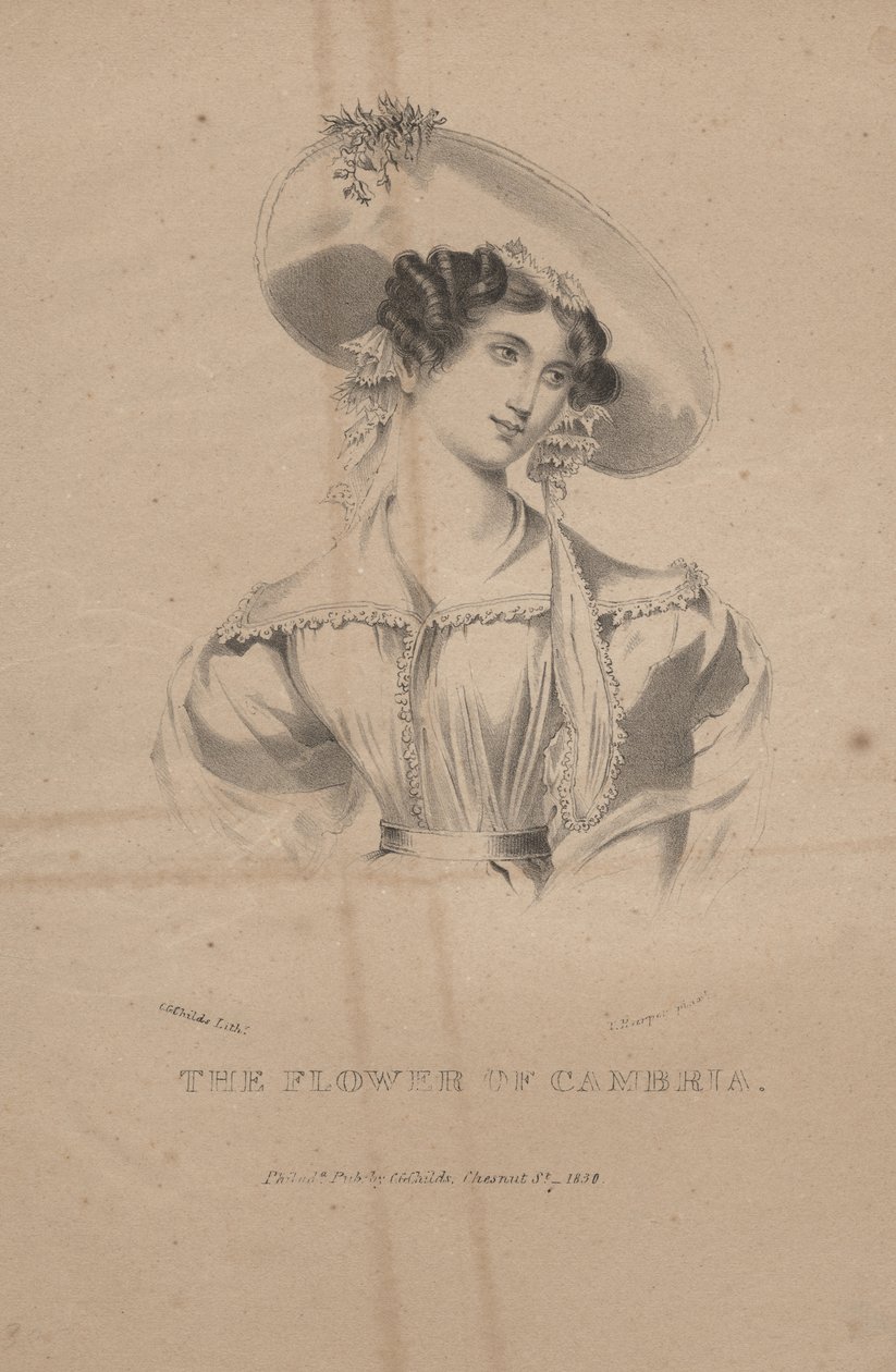 La flor de Cambria, litografía de C.G. Childs, 1830 de Moses Swett