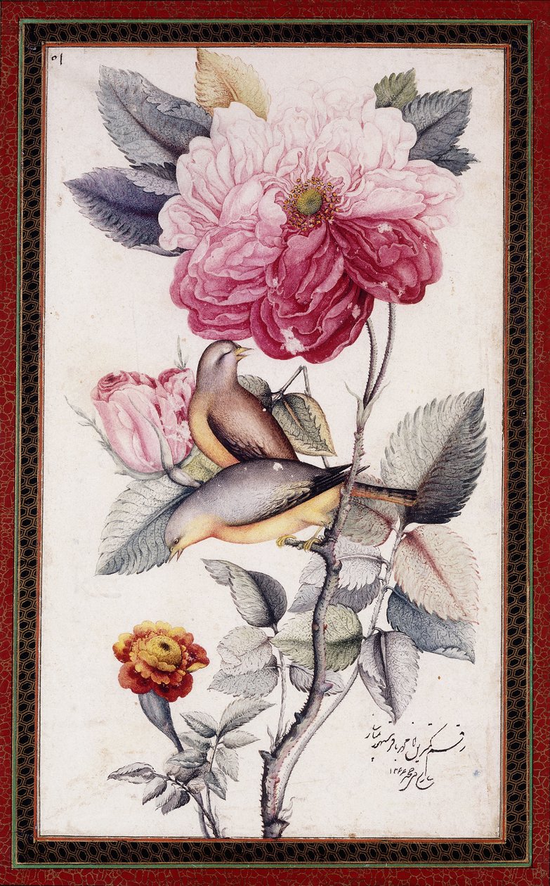 Gul-o Bulbul, c. 1849-50 (acuarela sobre papel) de Muhammad Baqir