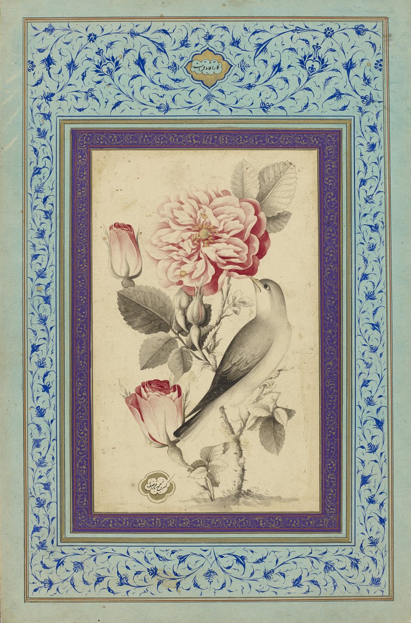 Rosas y ruiseñor, finales del siglo XVIII (tinta y color sobre papel) de Muhammad Baqir