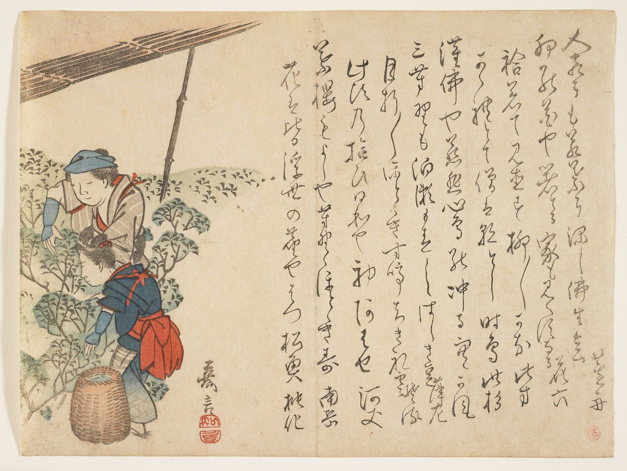 Recolectores de té, c.1830-44 de Murata Kagen