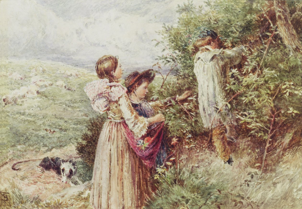 Niños recogiendo moras, siglo XIX de Myles Birket Foster