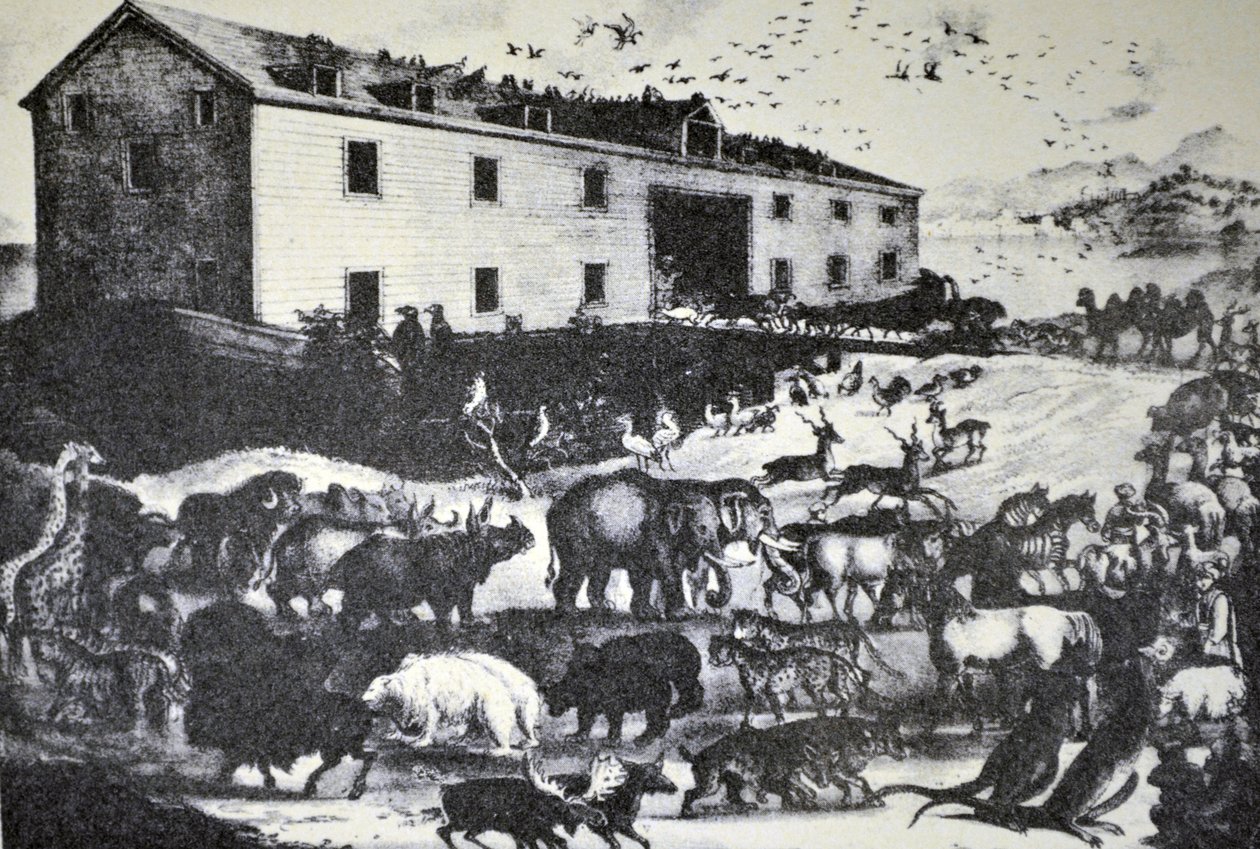 El arca de Noé de N. and Ives, J.M. Currier