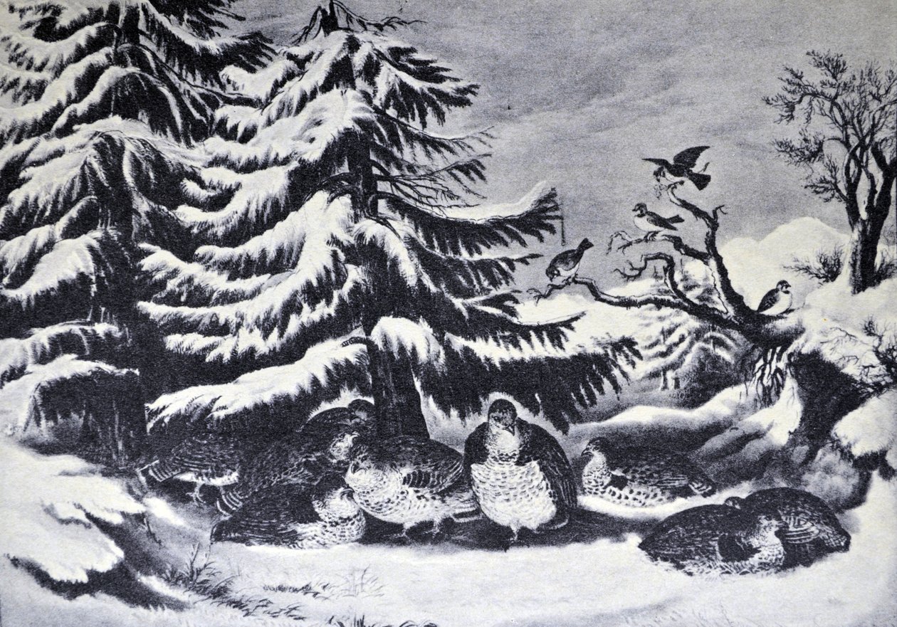 Atrapados en la nieve, urogallos en invierno de N. and Ives, J.M. Currier