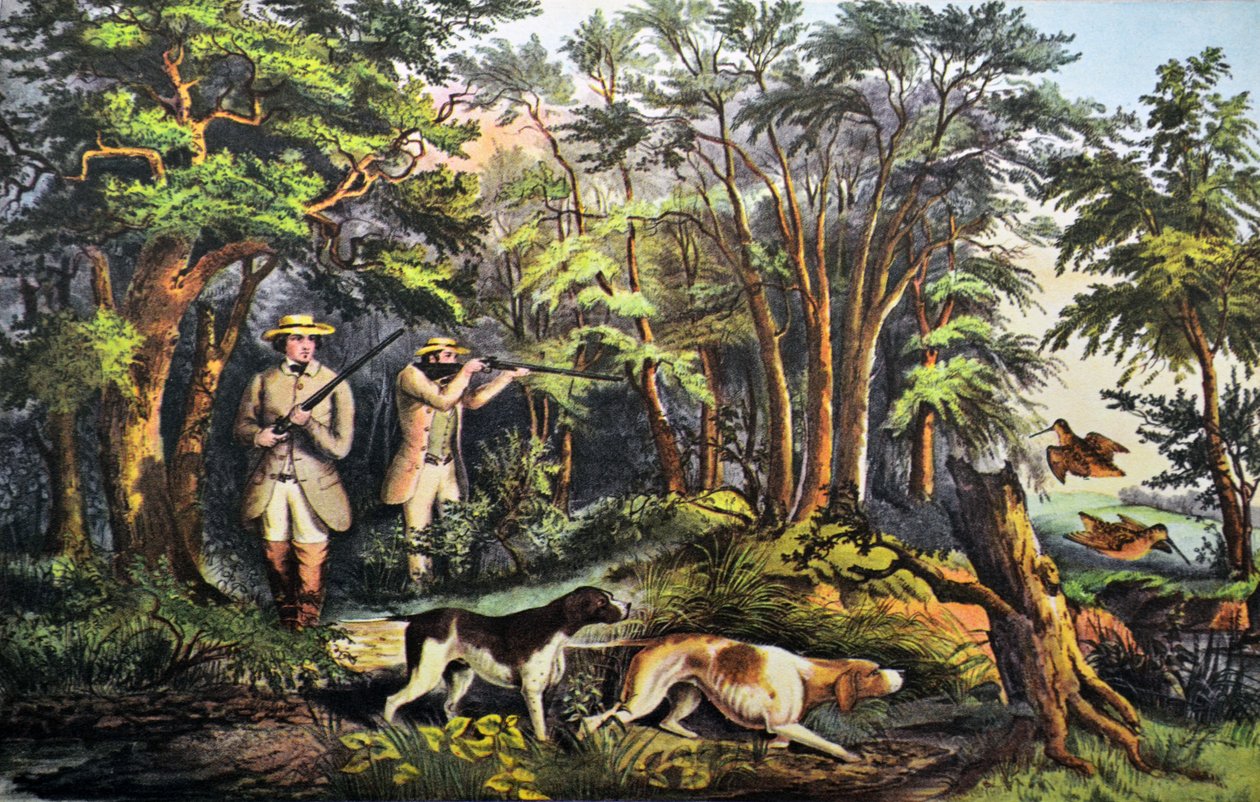 Caza de Becadas de N. and Ives, J.M. Currier