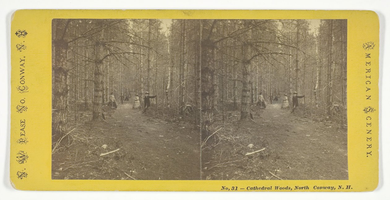 Bosques de la Catedral, North Conway, N.H., mediados del siglo XIX de N.W. Pease