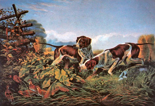 Deportes de campo americanos: En un punto de Currier and Ives