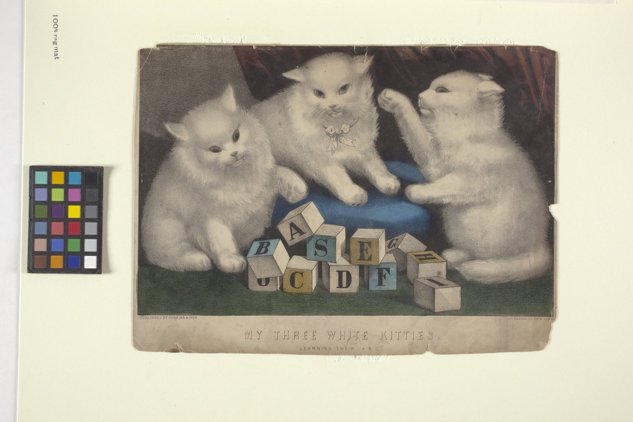 Mis tres gatitos blancos (litografía coloreada a mano) de N. and Ives J.M. (1824-95) Currier