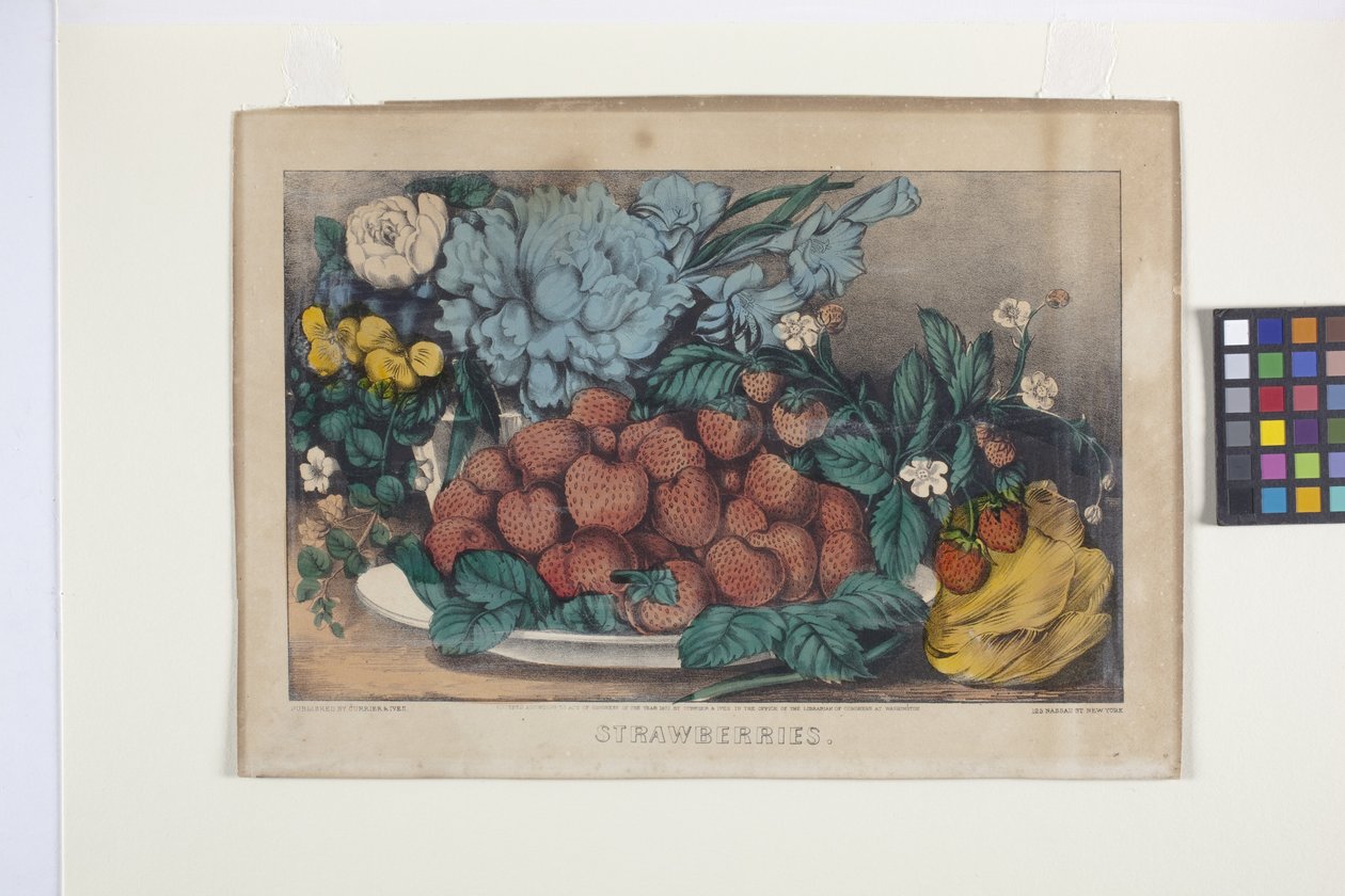 Fresas (litografía coloreada a mano) de N. and Ives J.M. (1824 95) Currier