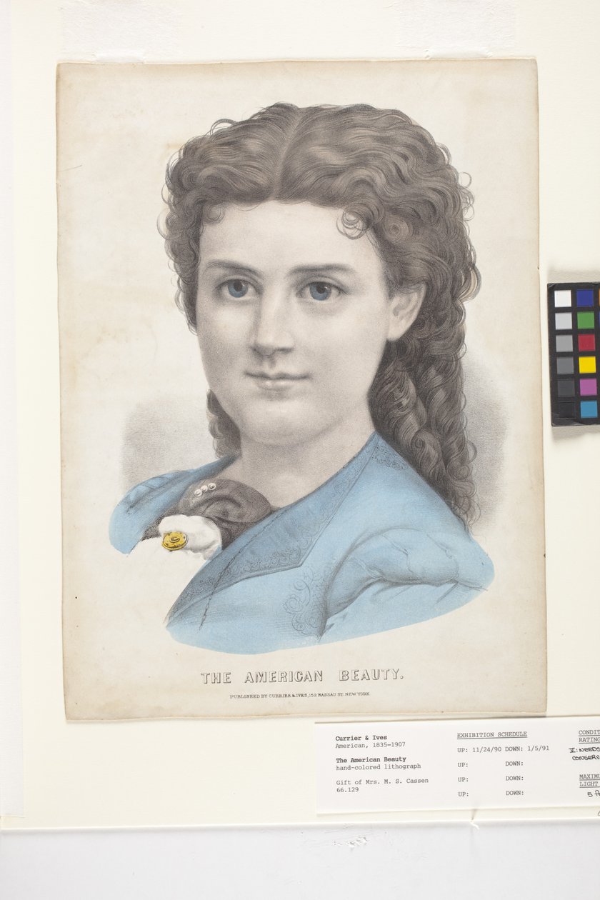 The American Beauty (litografía coloreada a mano) de N. and Ives J.M. (1824 95) Currier