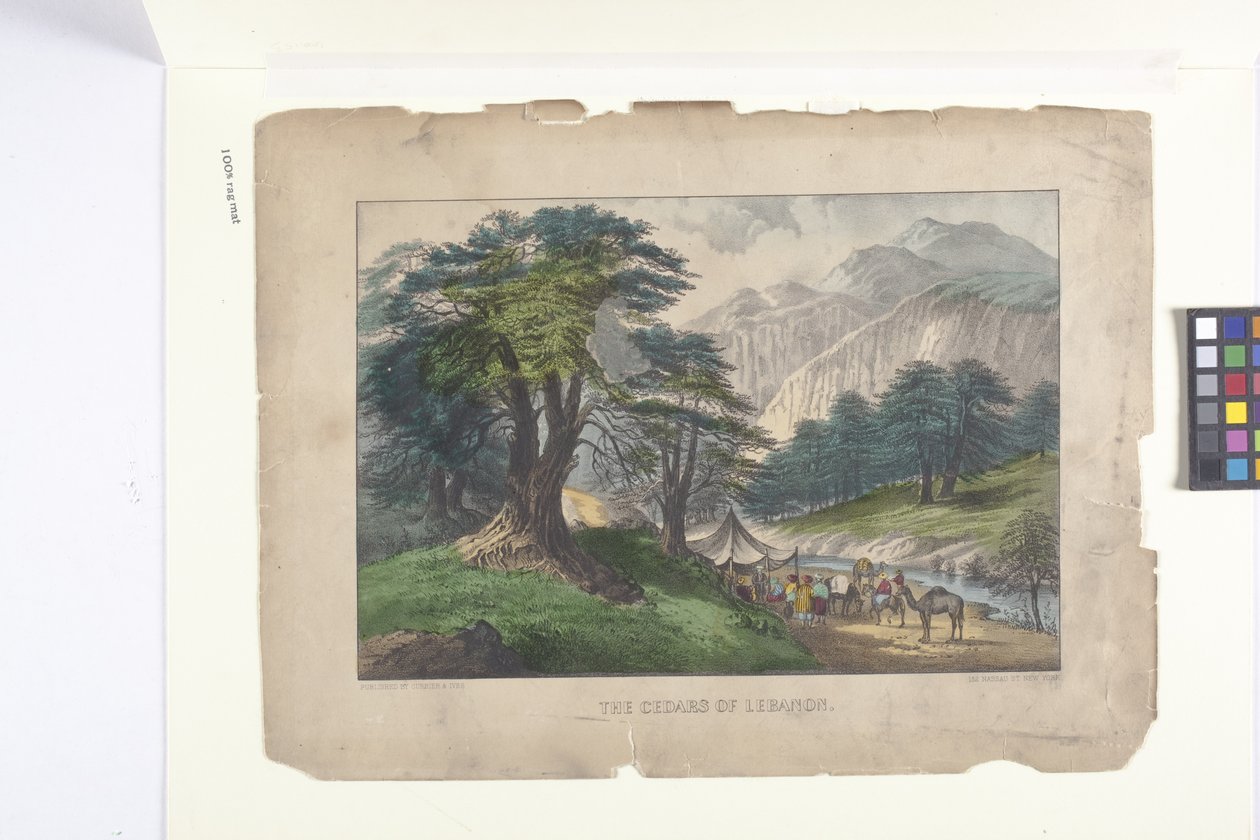 Los cedros del Líbano (litografía coloreada a mano) de N. and Ives J.M. (1824 95) Currier