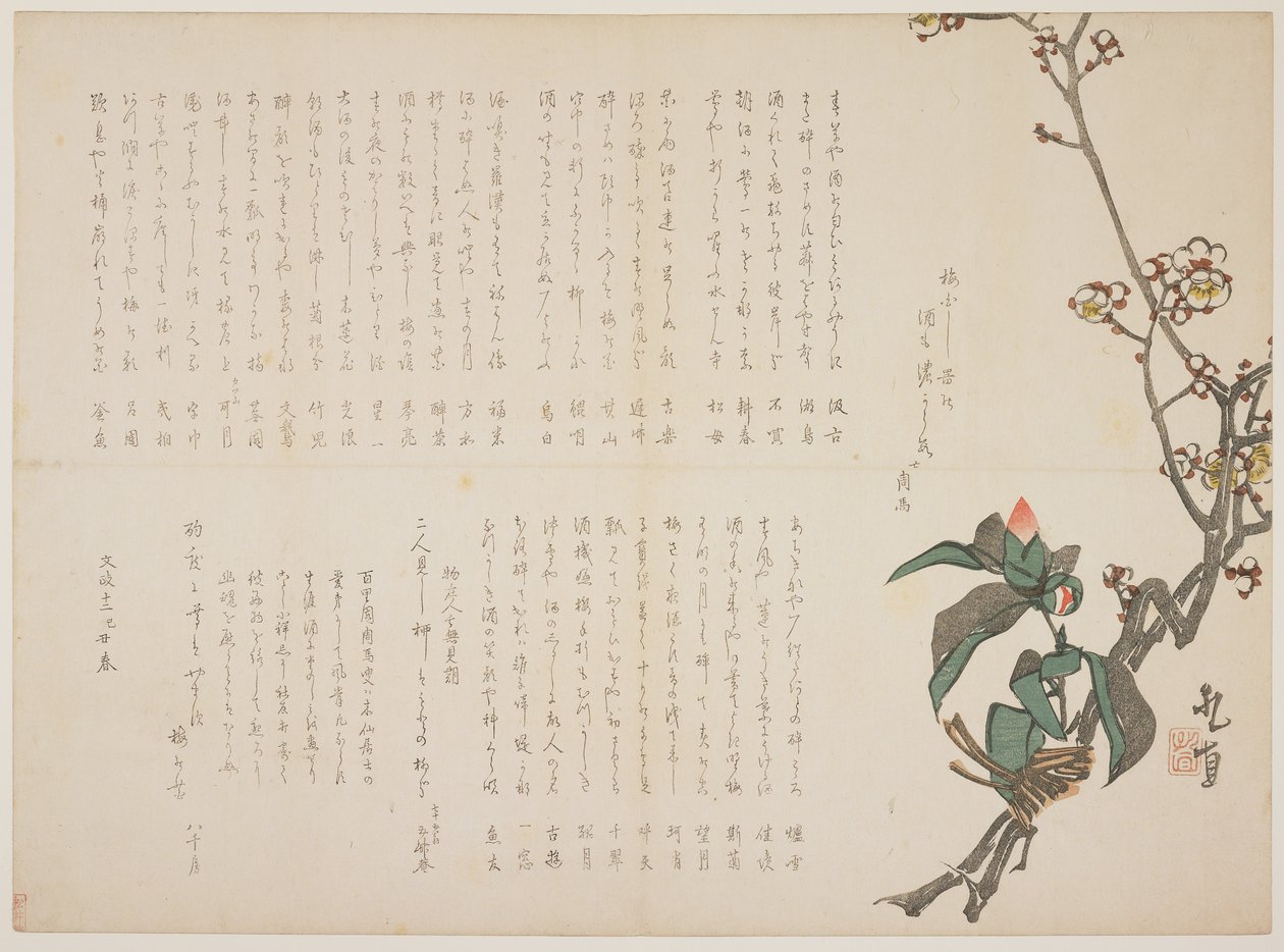Ramas de ciruelo y camelia, 1829 de Nagayama Kchoku