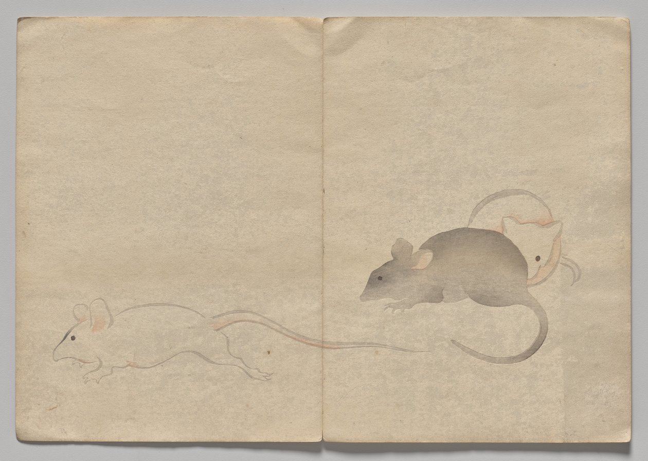 Escena del libro de imágenes Kōrin (volumen 2) de Nakamura Hochu