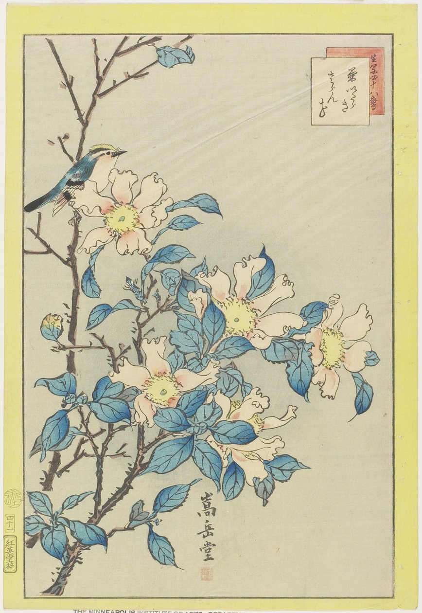 Pájaro azul y flores rosas, 1859 de Nakayama Sugakudo