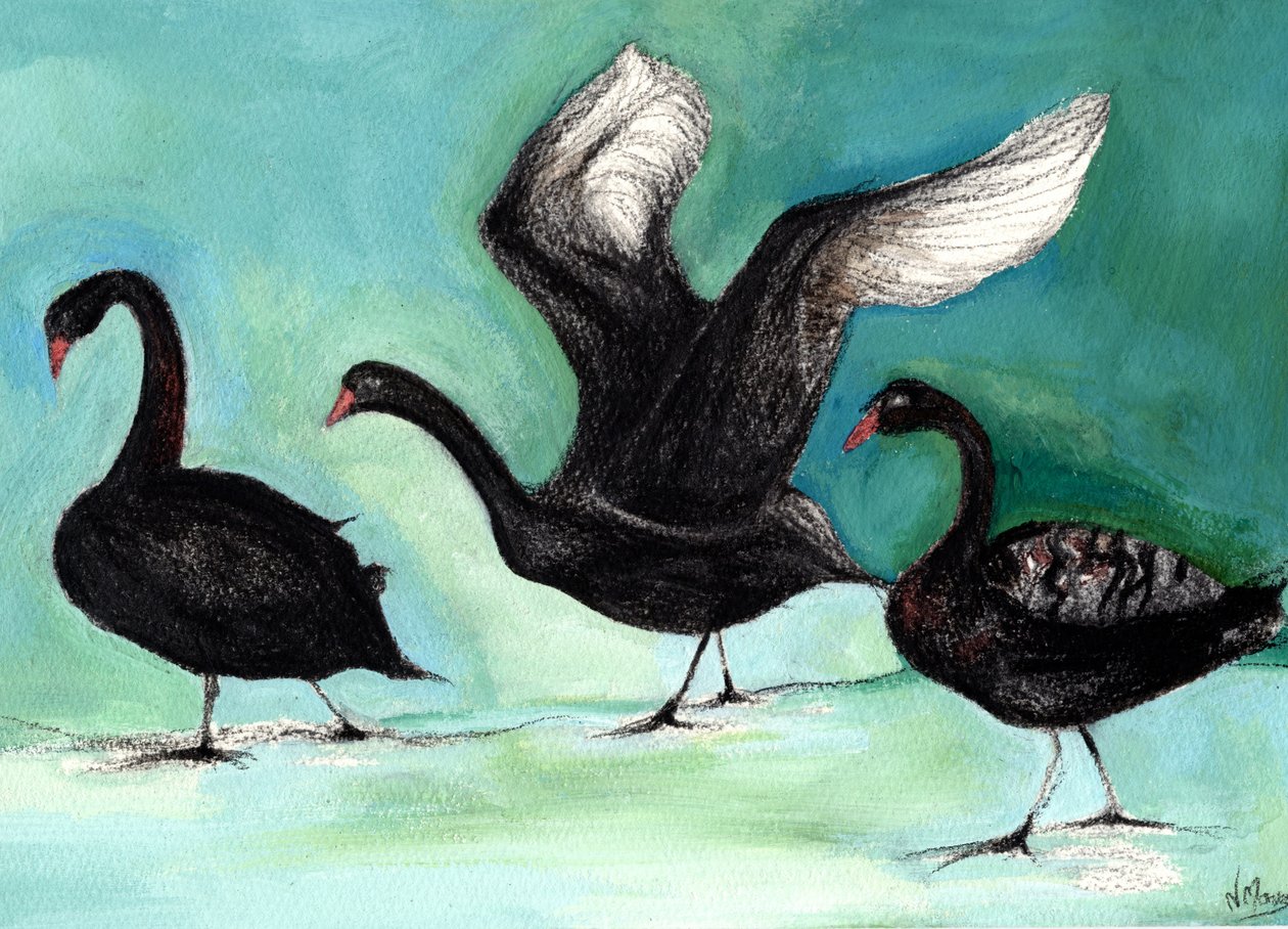 Un Ballet de Cisnes Negros, 2013 de Nancy Moniz Charalambous
