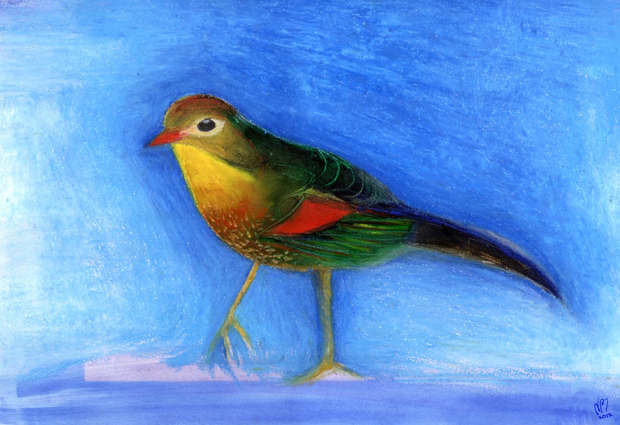 Luz de ruiseñor, 2012 de Nancy Moniz Charalambous