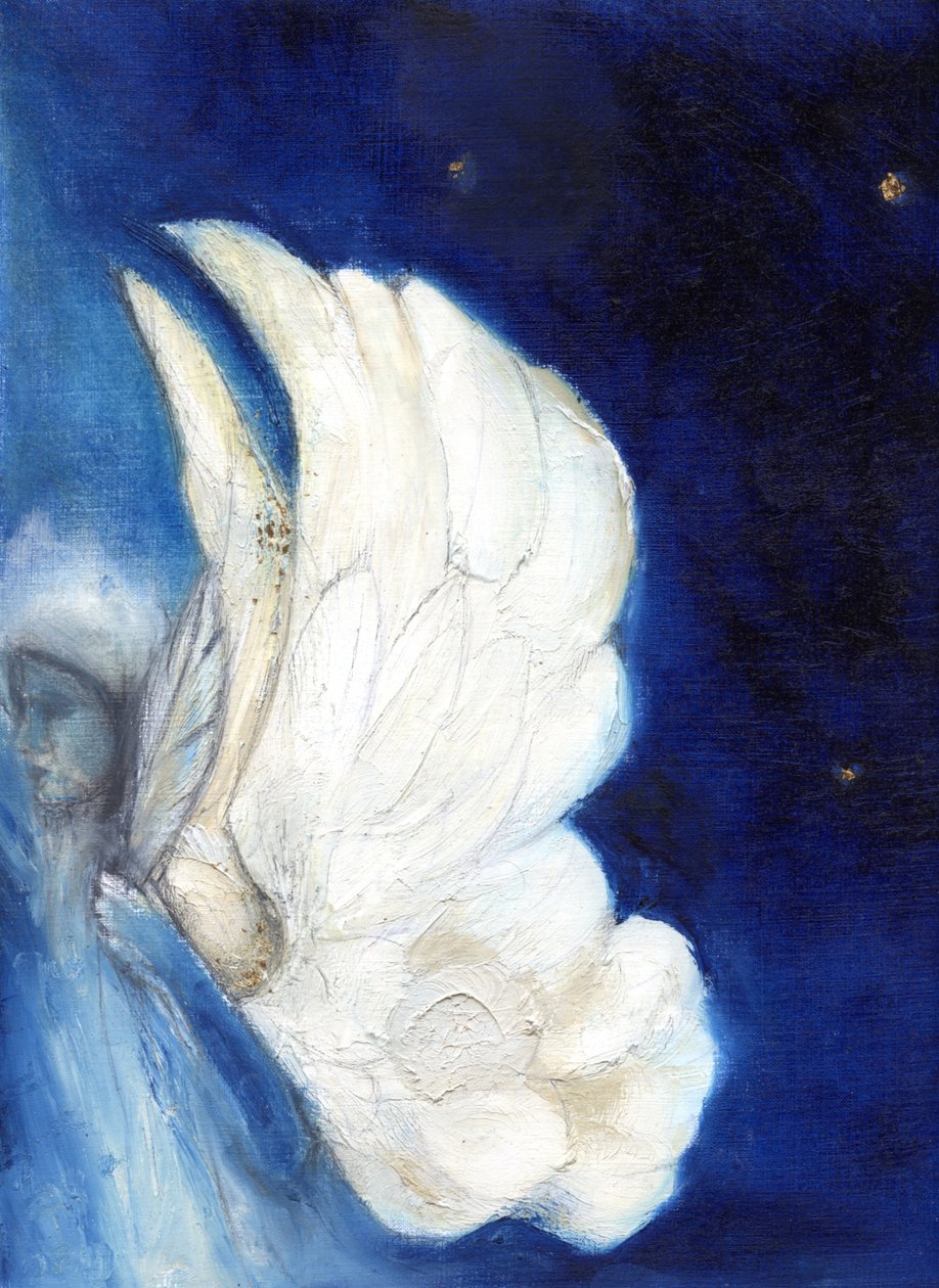 Alas sobre Londres, 2013 de Nancy Moniz Charalambous