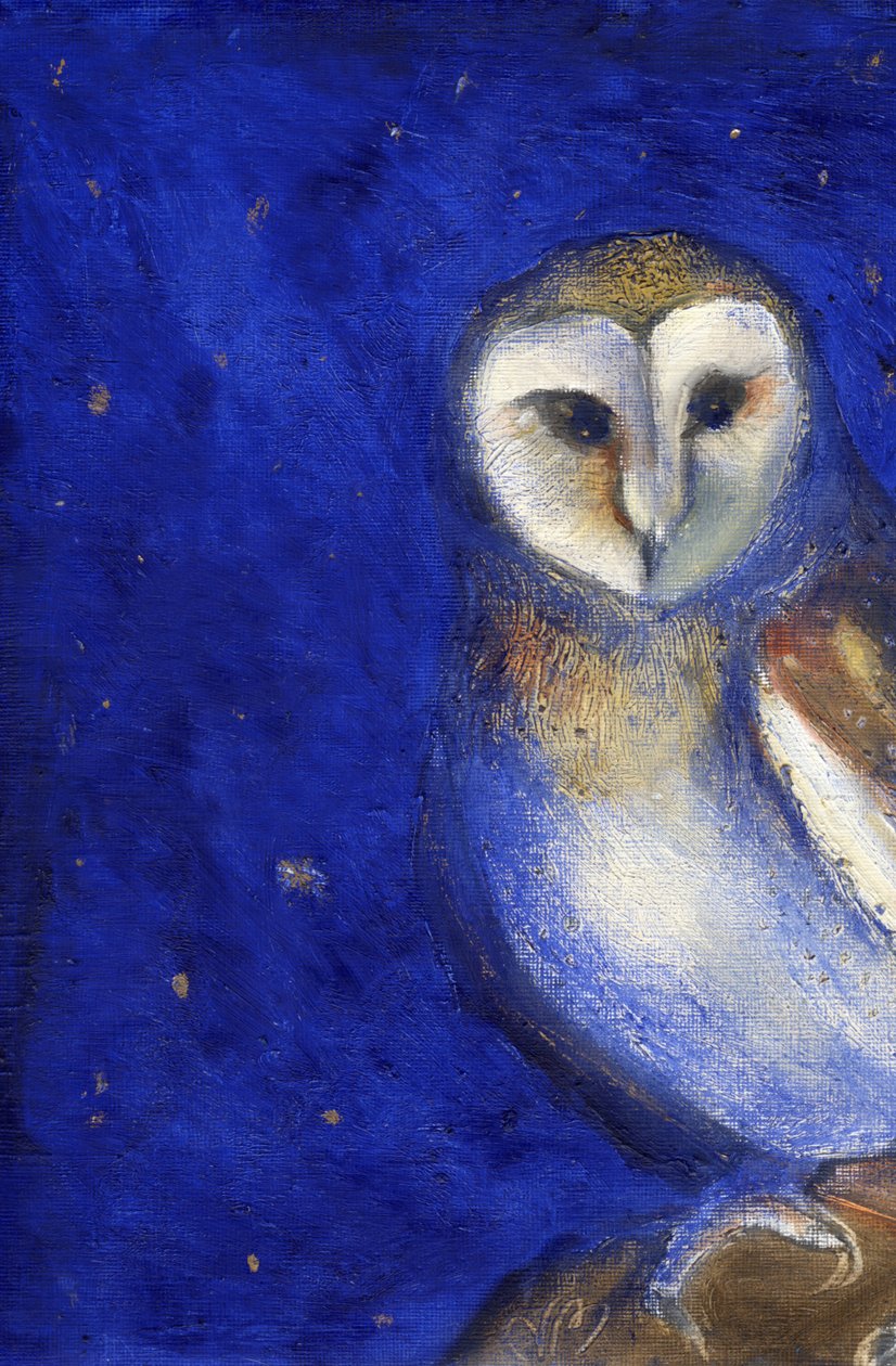 Noche mágica 1, 2013 de Nancy Moniz Charalambous