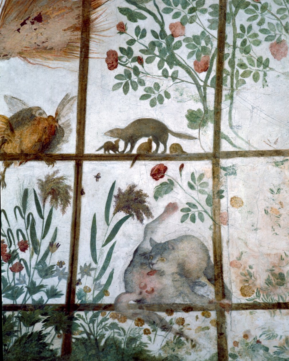 La antecámara del Studiolo de Francesco de Medici (detalle de la decoración que representa animales en una pérgola de jardín) de Bartolomeo Ammannati