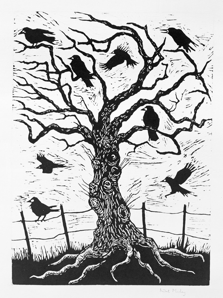 Árbol de Grajos, 1999 de Nat Morley