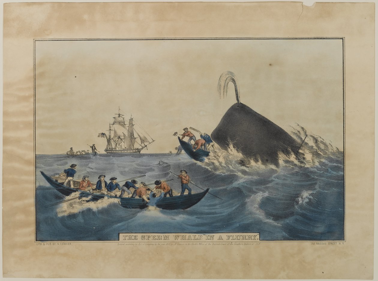 La ballena esperma en un frenesí, publicado por N. Currier, 1852 de Nathaniel Currier