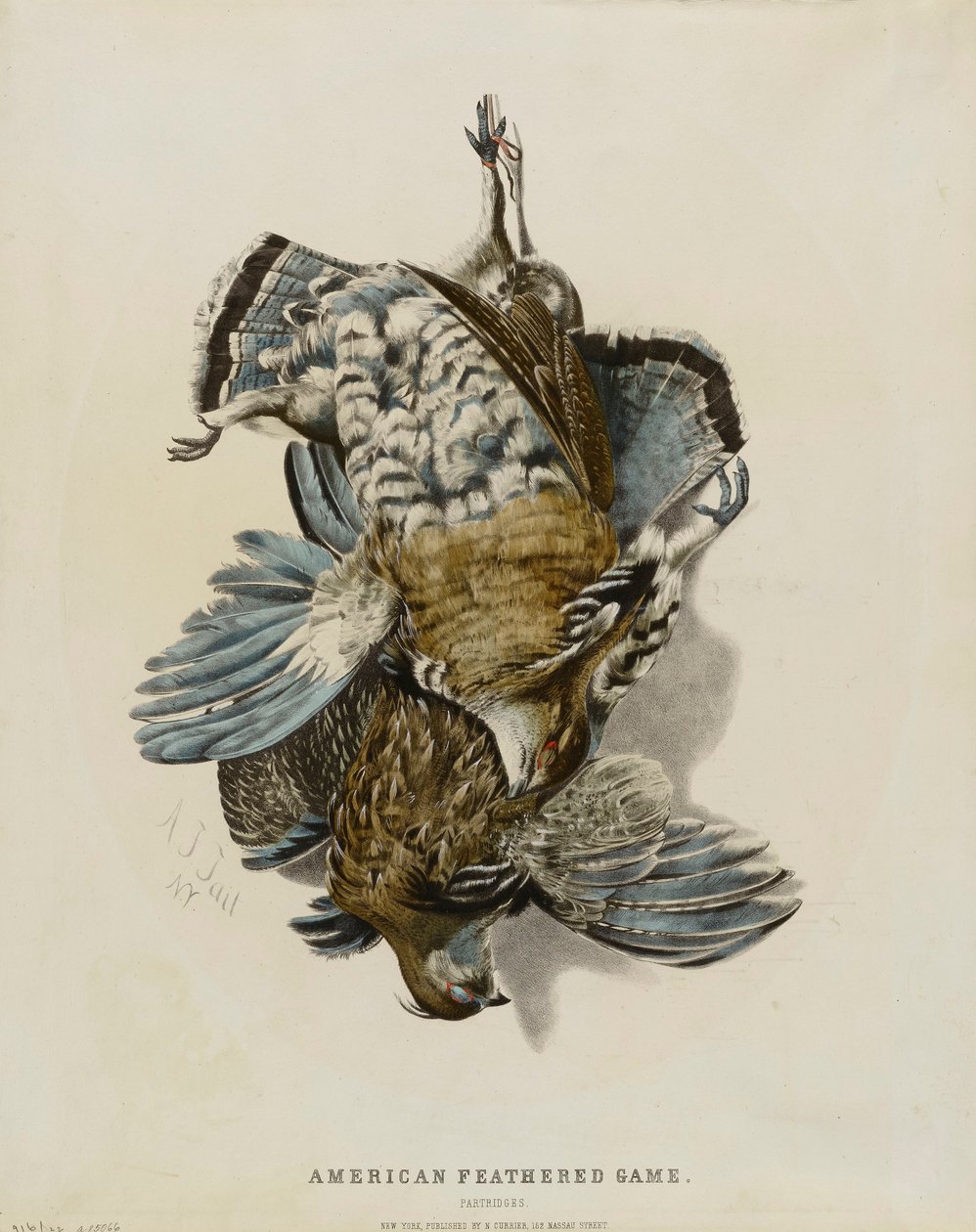 Caza de pluma americana--Perdices de Nathaniel Currier
