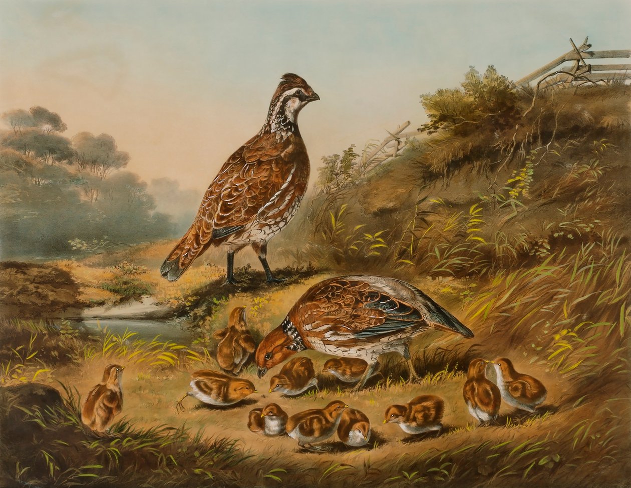 Los cuidados de una familia de Nathaniel Currier