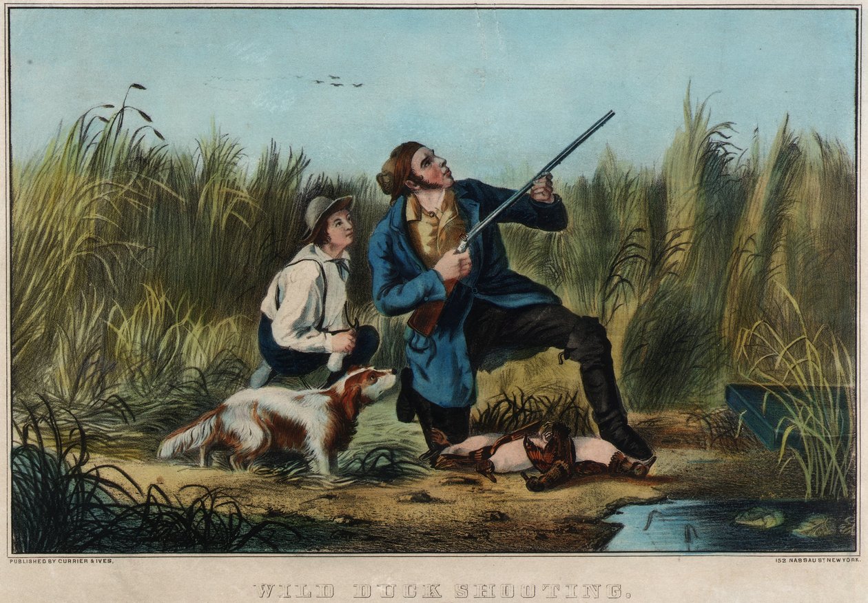Tiro al pato silvestre de Nathaniel Currier