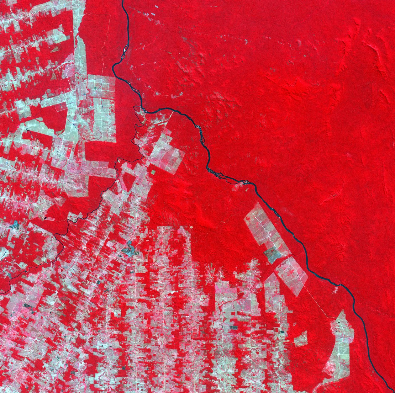 Imagen satelital en falso color de la deforestación en el estado de Rondonia, Brasil, en 2000. Las áreas rosadas y marrones son tierras despejadas, la selva tropical aparece en rojo brillante. Crédito: NASA. de National Aeronautics and Space Administration National Aeronautics and Space Administration
