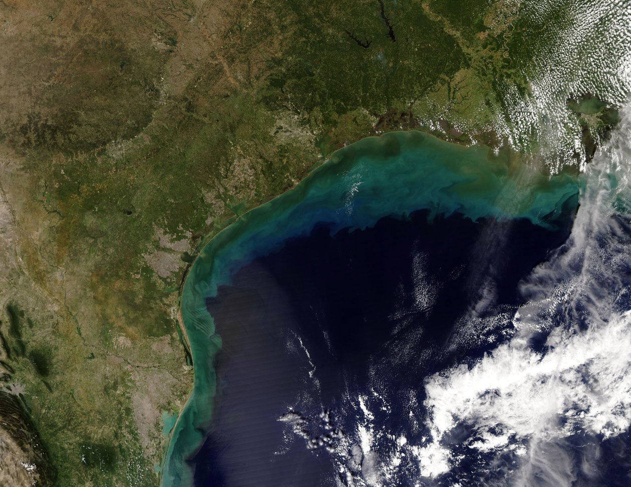 Vista satelital de la costa del Golfo, EE.UU. - Tamaulipas, México, hasta Nueva Orleans, Luisiana. Crédito NASA. Ciencia Tierra Geología Oceanografía de National Aeronautics and Space Administration National Aeronautics and Space Administration
