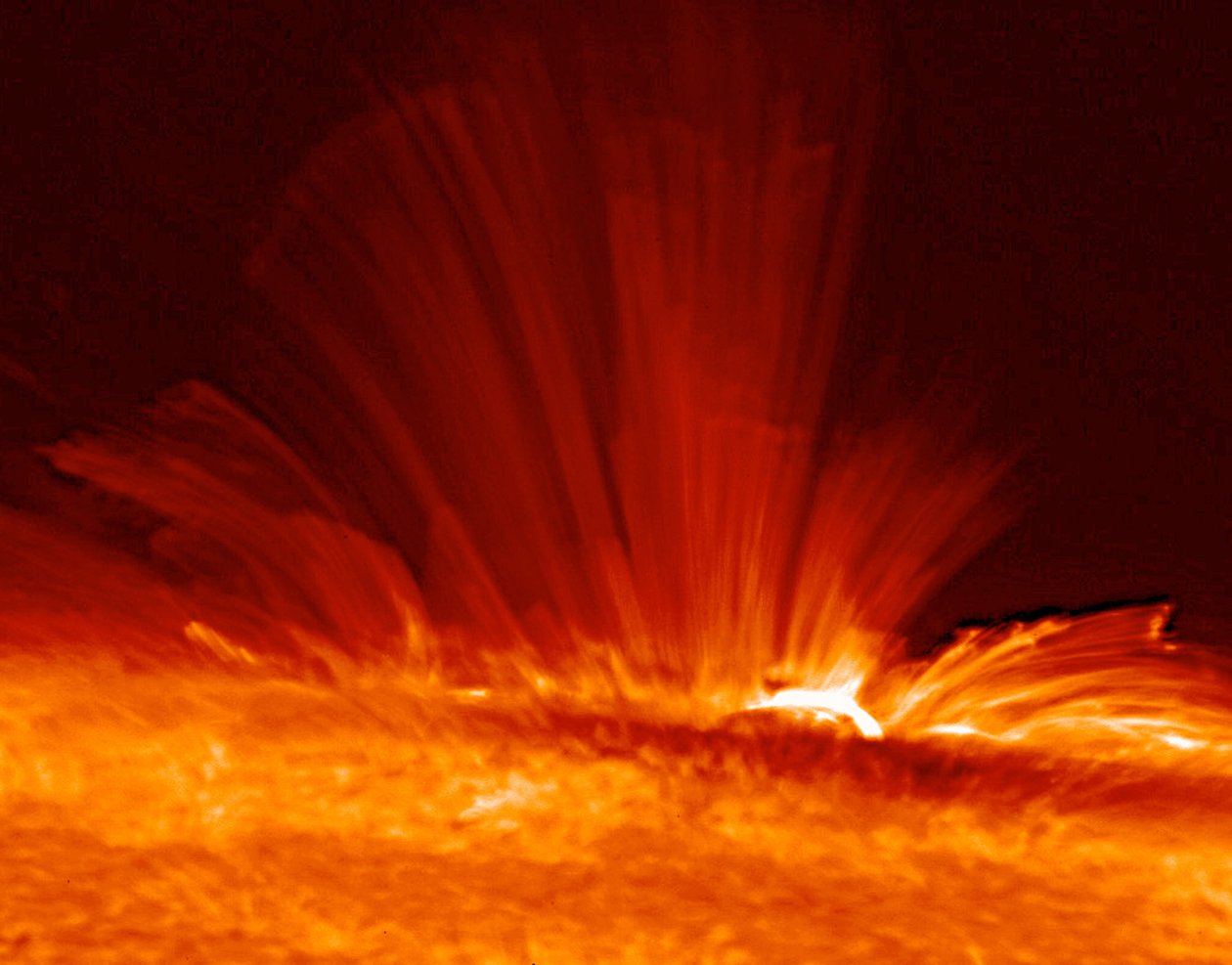 Mancha solar con chorros de gas supercaliente y eléctricamente cargado (plasma) que se arquean desde la superficie del Sol, revelando la estructura del campo magnético solar. Crédito: NASA. de National Aeronautics and Space Administration National Aeronautics and Space Administration
