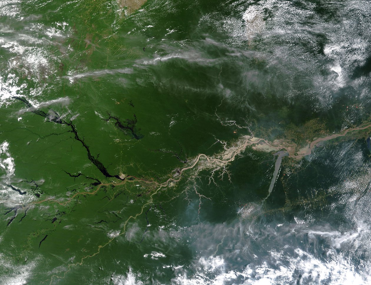 Imagen satelital en color verdadero del río Amazonas, por el cual fluye una quinta parte del agua de los ríos que ingresan a los océanos de la Tierra. Crédito: NASA. de National Aeronautics and Space Administration National Aeronautics and Space Administration