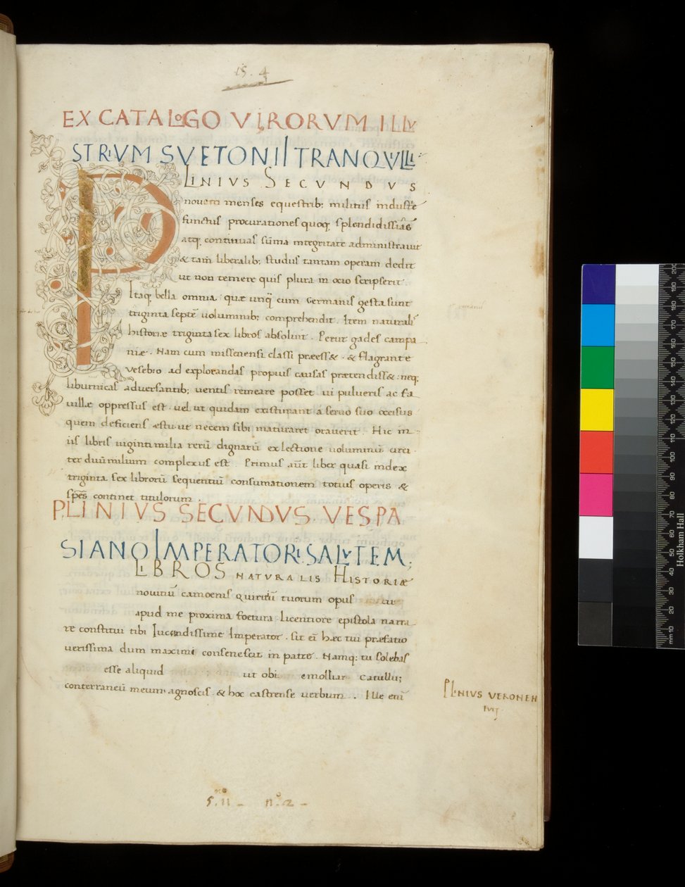 Ms 394.1. Plinio el Viejo, Historia naturalis, f.1r. Inicial iluminada [P] con decoración de tallo de vid blanca (inacabada), Nápoles, mediados del siglo XV, c.1442 (pergamino) de Neapolitan School