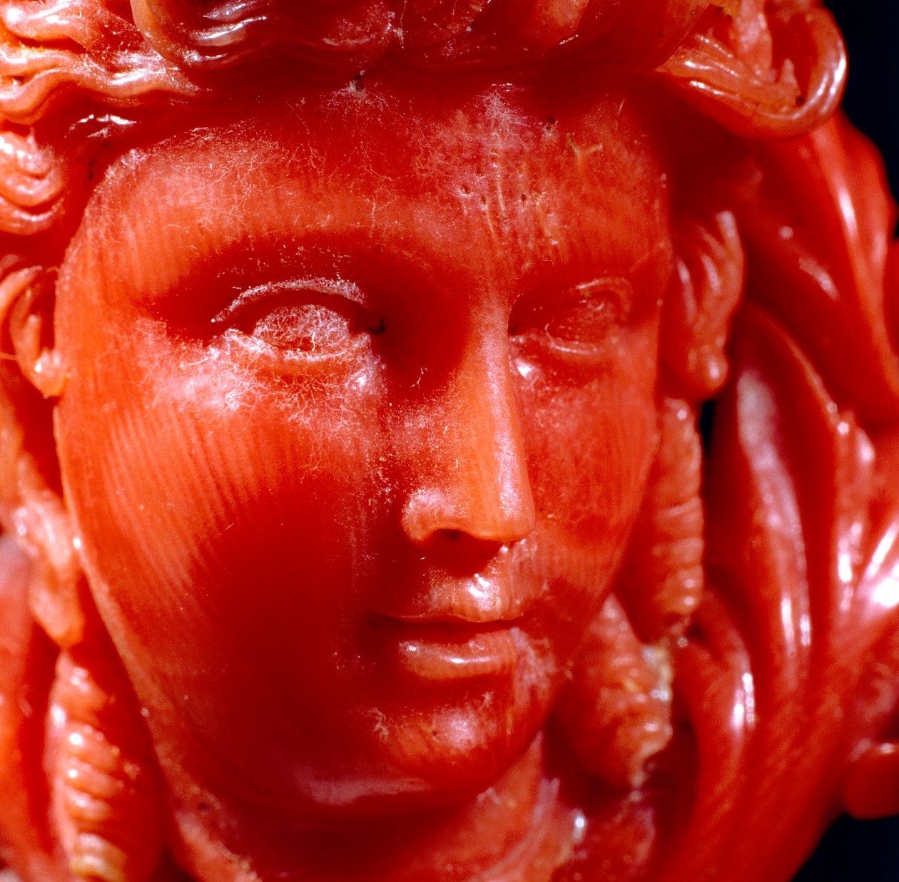 Colgante de una cabeza clásica y ánfora en coral mediterráneo y oro (detalle) de Neapolitan School