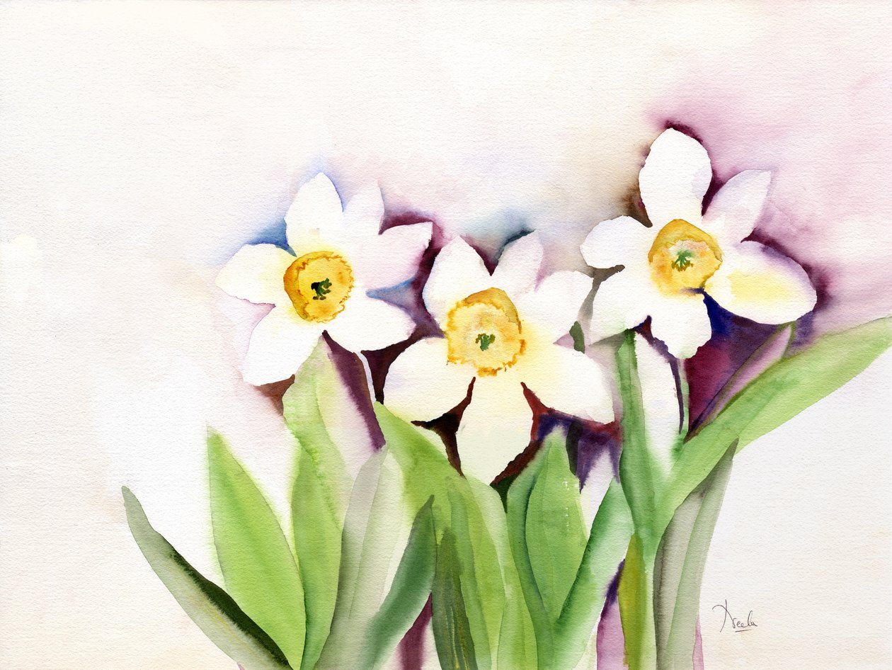 Tres narcisos de Neela Pushparaj