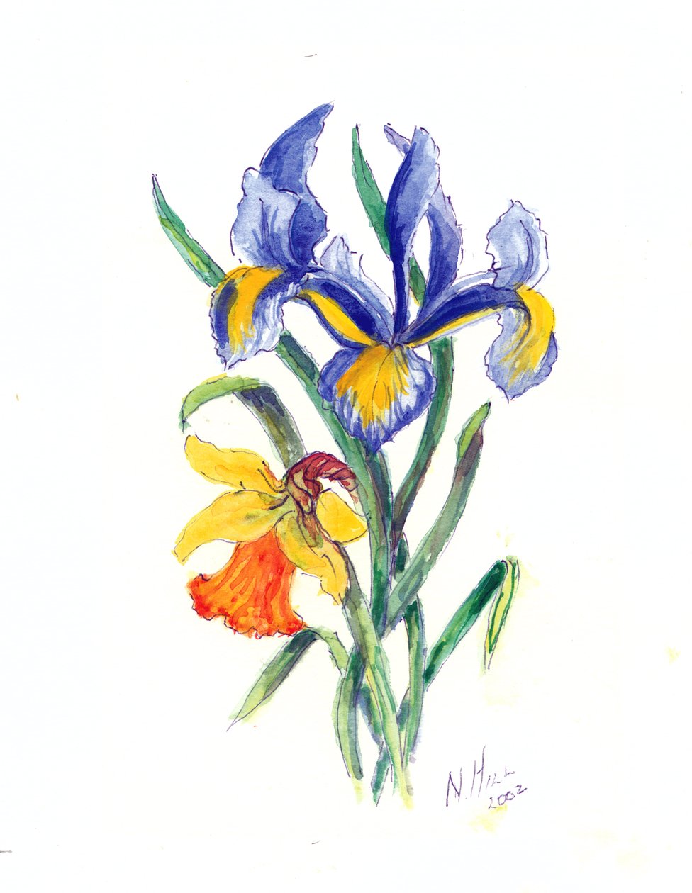 Iris azul y narciso, 2002 de Nell Hill