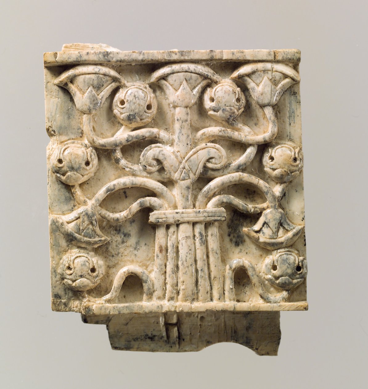 Placa de mueble tallada en relieve con árbol estilizado, c.8th-7th siglo a.C. (marfil) de Neo Assyrian