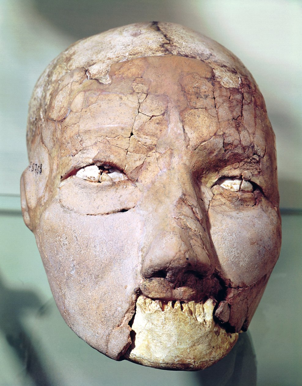 Cráneo, de Jericó, 7000-6000 a.C. de Neolithic