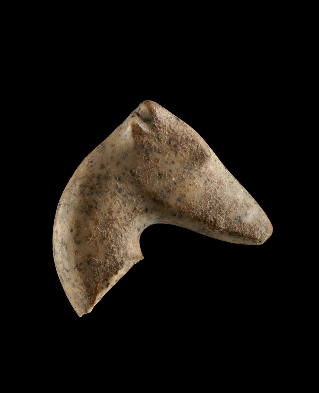 Cabeza de una gacela persa hembra, 6000-5500 a.C. de Neolithic