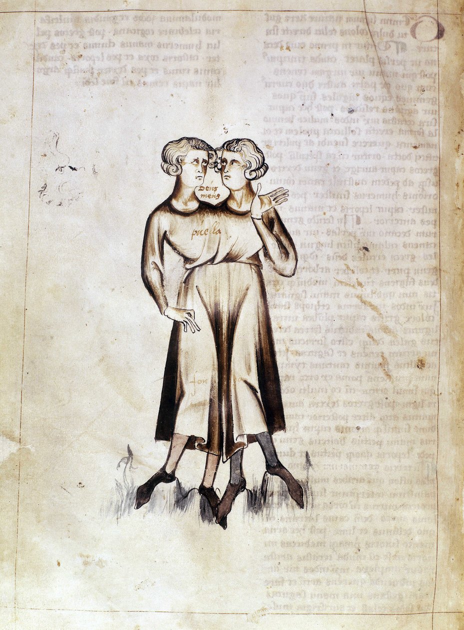 Sloane 3983 f.8v Dibujo de Géminis, de una traducción de un tratado astrológico persa de Jafar ibn Muhammad (vitela) de Netherlandish School