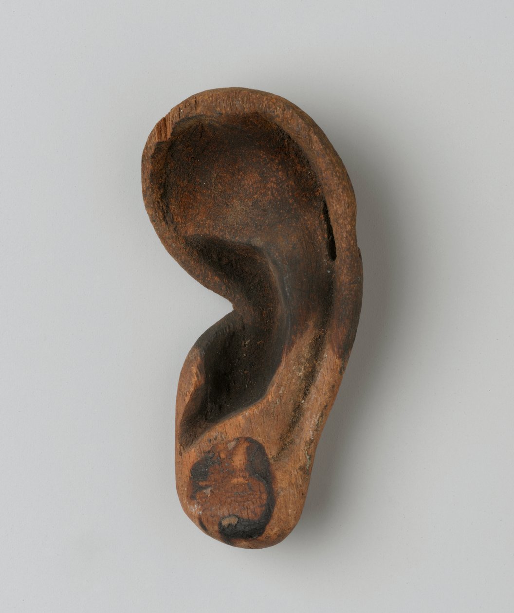 Oreja de New Kingdom Egyptian