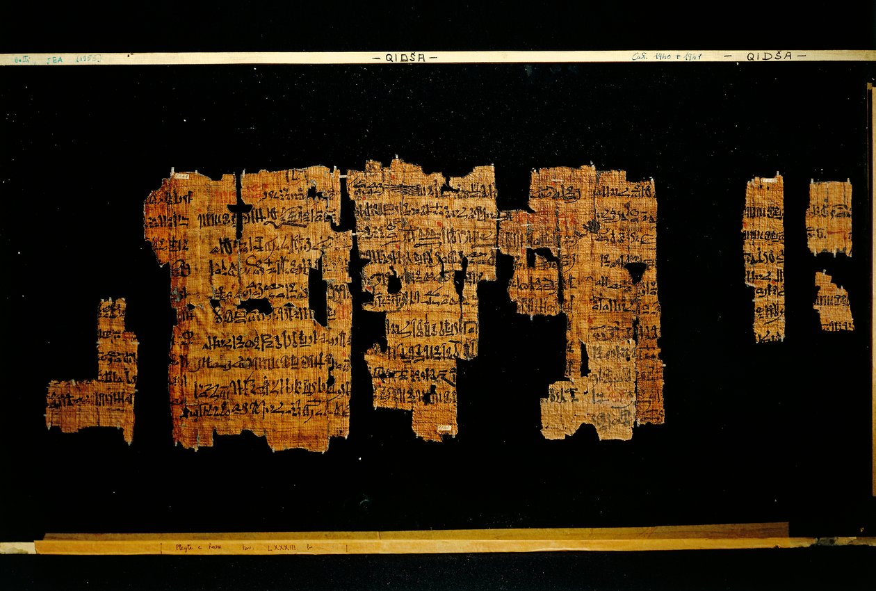 Fragmentos del documento que contiene las hazañas del faraón Tutmosis III (papiro) de New Kingdom Egyptian