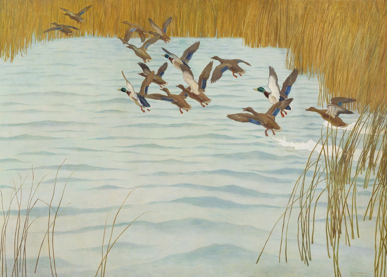 Ánades Reales en Otoño, 1941 de Newell Convers Wyeth