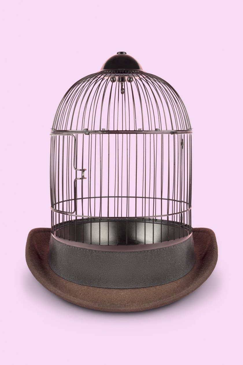 Jaula mental, 2020 (foto) de Niccolò Fioriti