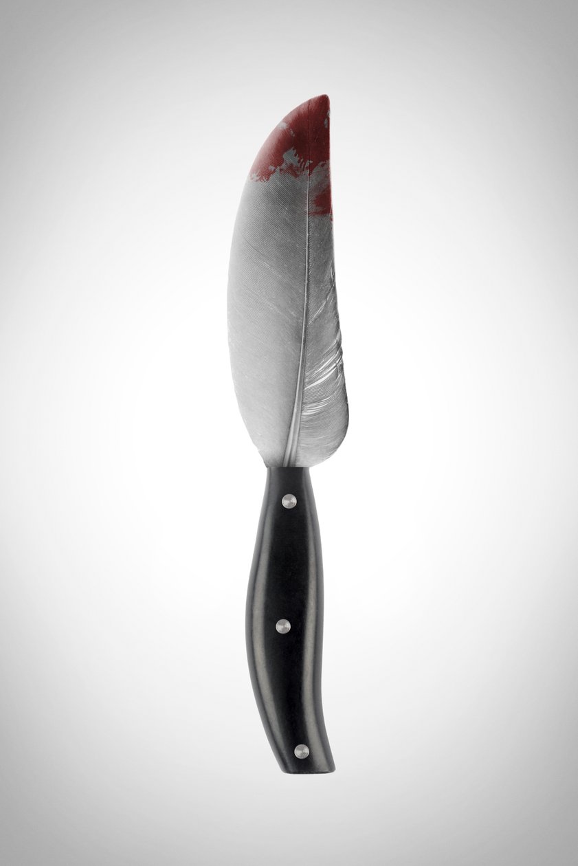 La pluma, 2022 (foto) de Niccolò Fioriti