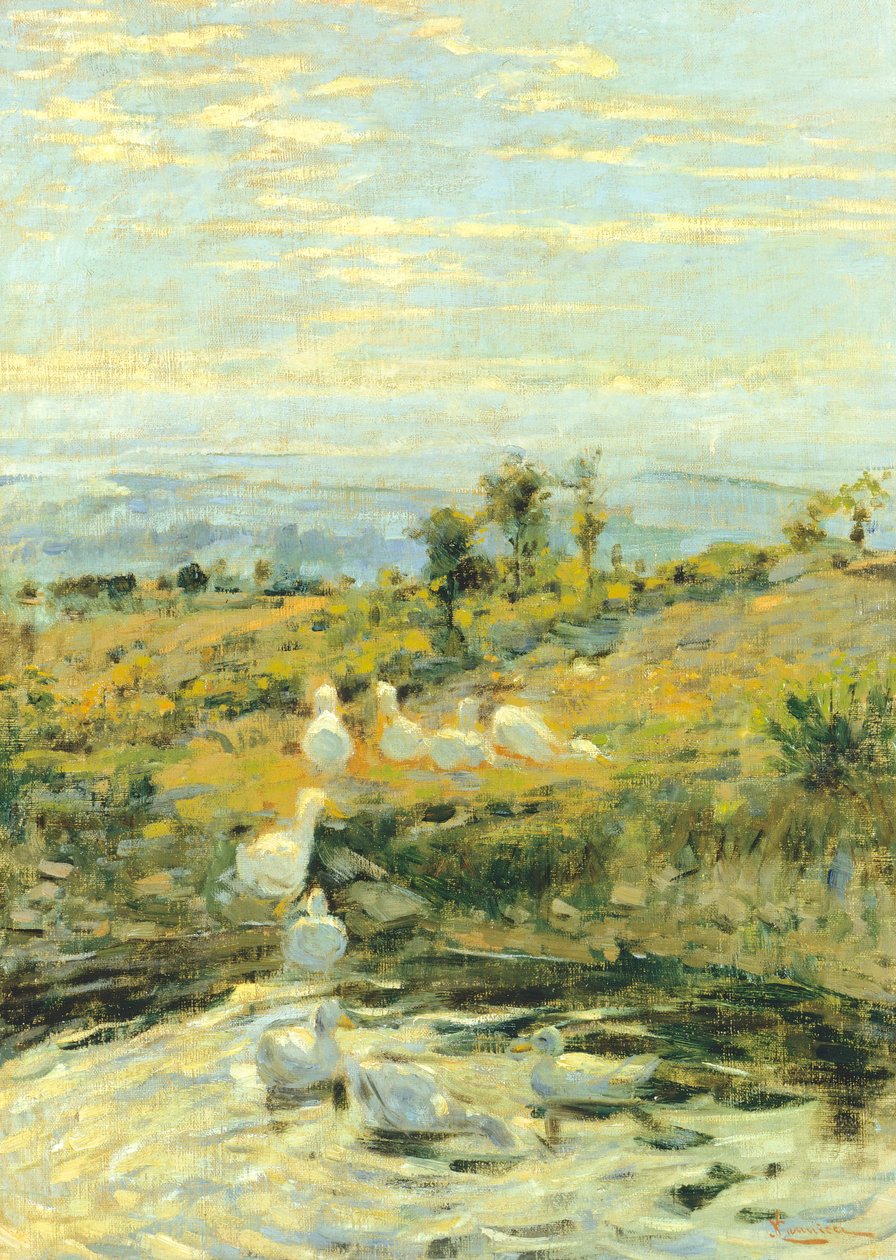 Patos por la mañana, hacia 1892, de Niccolo Cannicci (1846-1906). Óleo sobre lienzo, 57,5x40,5 cm. de Niccolo Cannicci