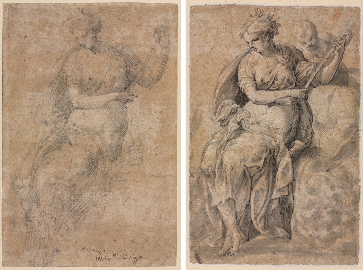 Allegorical Figure (recto and verso)  de Niccolo dell